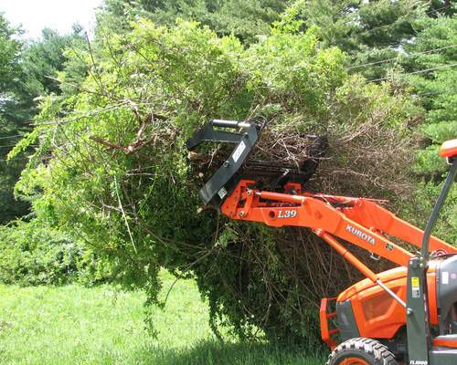 Bloodless Rose Removal
Extracting a Multiflora rose with my W.R.Long forklift grapple.
Just stuck the forks into the brush
clamped down the grapple
Lifted slightly and then swept the stems w/ a chainsaw
Now it's off to the brush pile.
