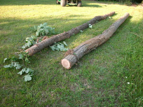 Another view of logs pulled by Milemarker winch
