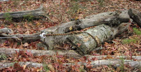 Hooking the log
