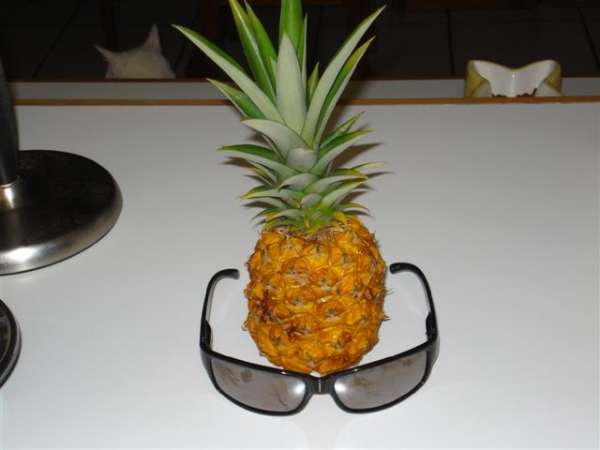 Pineapple 8
