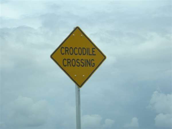 Crocodile Crossing
