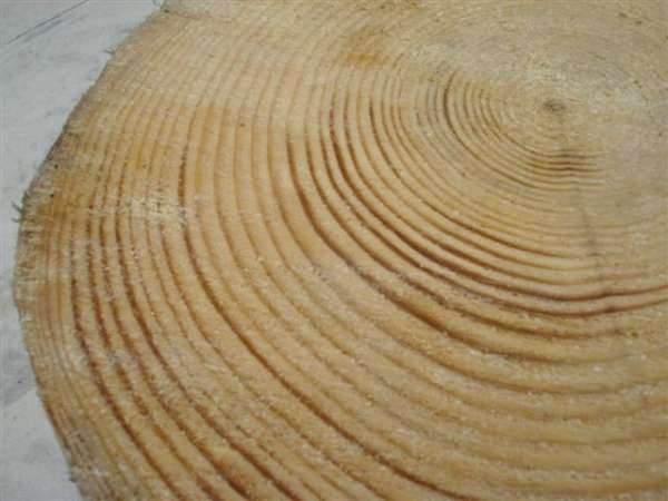 Growth Rings
