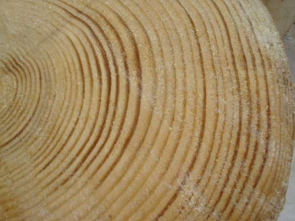 Growth Rings2
