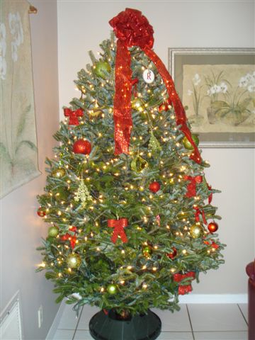 Christmas Tree2011

