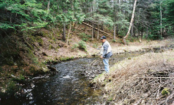 Trout Fishing
