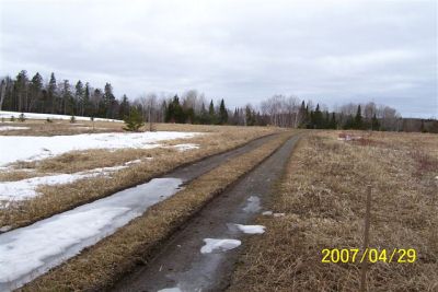 Camp Road Thaw
