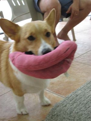 Oliver's Lips  (Frisbee)
