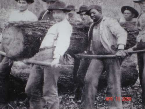 logroll
moving logs the hard way. Union parish La, 1920-1930

