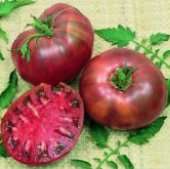 Cherokee Purple Tomato Seeds[1]

