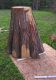 Cypress-Stump-2-07.jpg