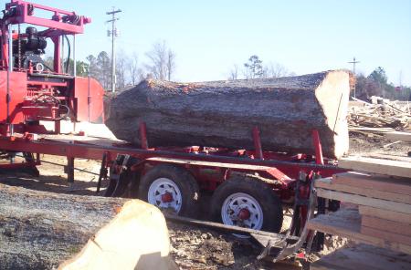 Big Log!

