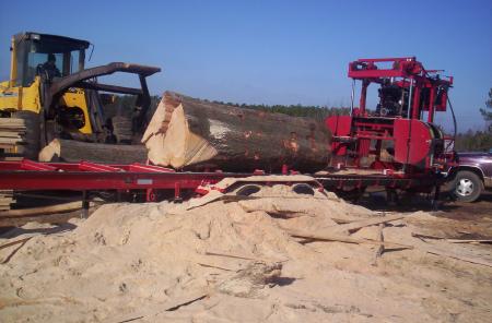 Big Log!
