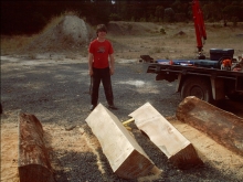 A Quartered pine log
Quartered pine log 
Keywords: Quartered log pine sawmill chainsawmill