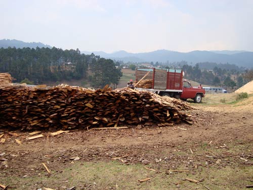 cs_saw_site2
sawmill site, Chulil, Chiapas, Mexico
Keywords: slab wood Mexico