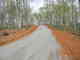 March_2012_Six_Mile_TN_Road_066.jpg
