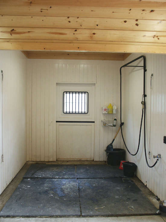 Horse wash stall example
