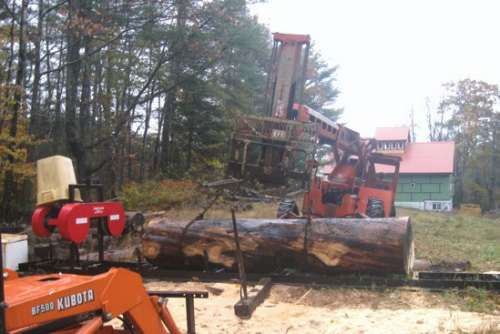 Biggest log I have ever sawn
