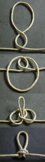 Butterfy Knot
Butterfly knot: two-twist tying sequence.
Non-slip loop, handles multi-directional load: both ends and loop. Easy to untie after heavy load.
