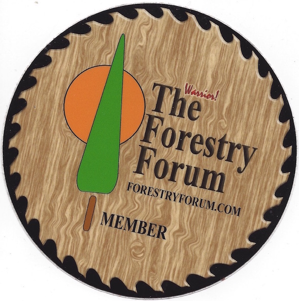 FF Logo Sticker
