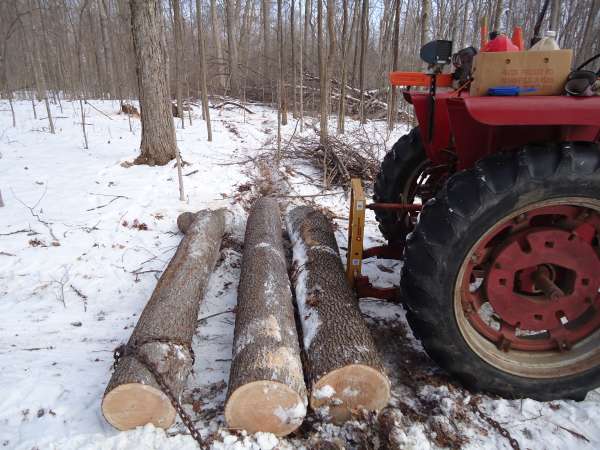 cherry
Keywords: logging, skidding, cherry