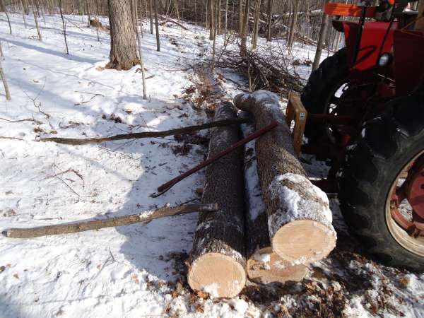 2ndstory
Keywords: logging, skidding, cherry