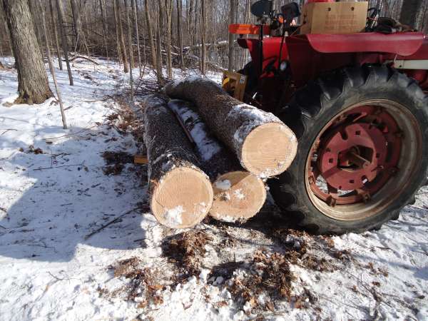 liftoff
Keywords: logging, skidding, cherry