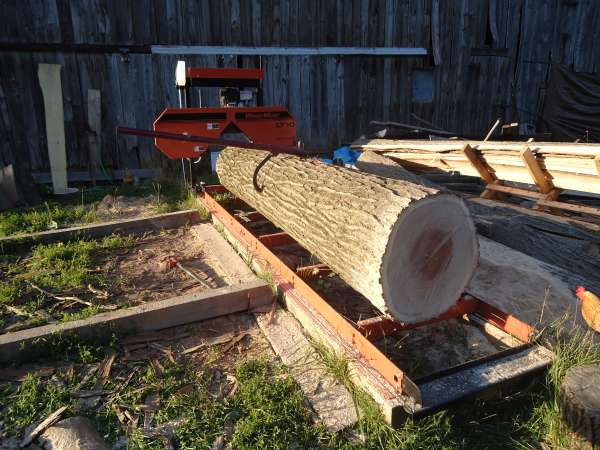big oak
Keywords: red oak log big