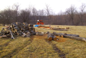 distant
sawmill including firewood cutting area
Keywords: sawmill firewood woodmizer lt10