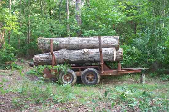 4 white oak logs for porch lumber
