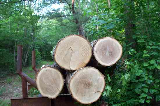 logs end view
