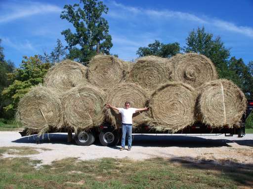 a load of hay
