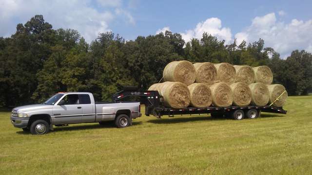 Hay hauling 2017
First test of the 99 rebuild

