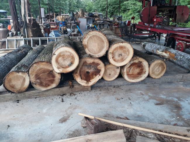 MY buddy the Doc s logs
Popular I cut and hauled to mill for Doc
