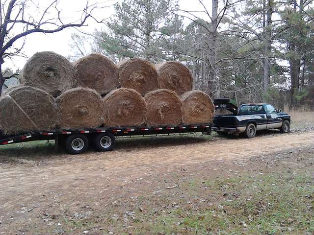 Load of hay
14 round bales pulled by the 2500 dodge
