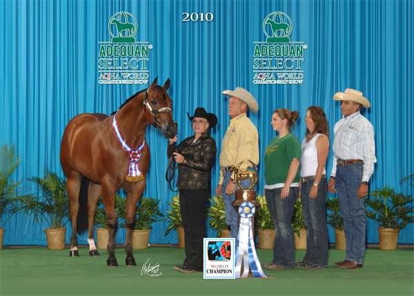 Win Picture 2010
the champ 2
Keywords: pudge aqha gelding champ