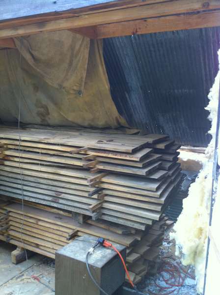 tarp in kiln
tarp directed air throuhg wood stack.
Keywords: solar kiln