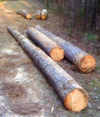 syp long logs
syp long logs
Keywords: syp long logs