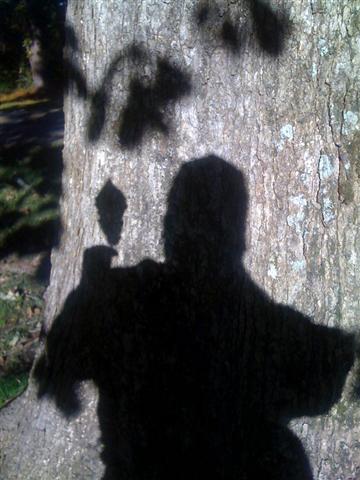 Leaf
shadow of me and leaf
Keywords: shadow