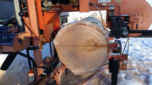 Western Red Cedar
cut started, off centre pith, 41' long
