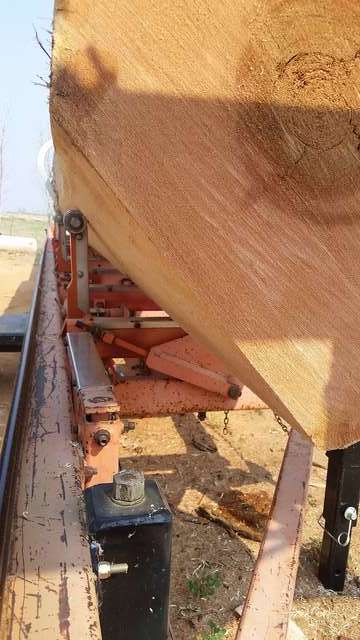 Western Red Cedar, turning w hooks chain and loader 1
