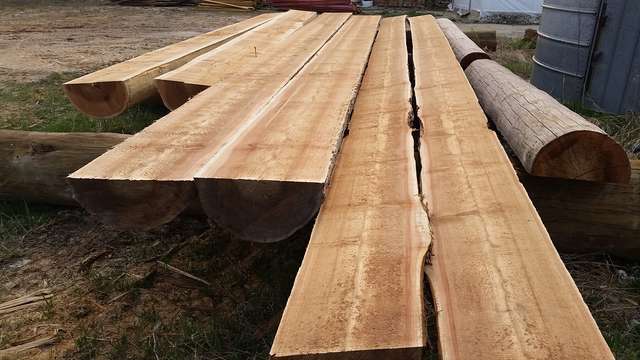 Western Red Cedar, half logs
