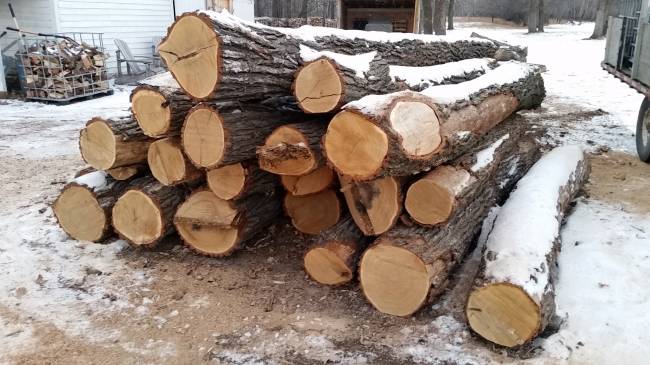 Burr Oak logs
