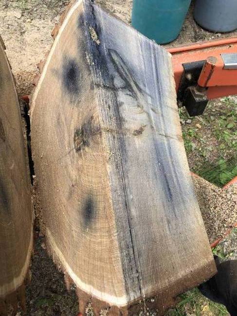 Bur oak to slabs with metal
