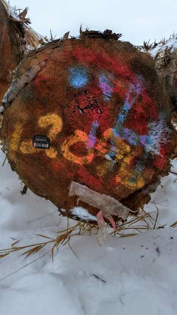 Western Red Cedar, markings
