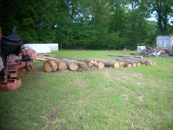 DSCN0167
Clyde's Red Oak logs
