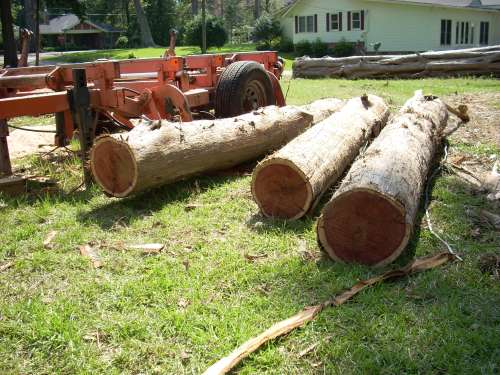 DSCN0267
Cedar Logs
