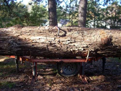 DSCN0488 (Small)
Loading Heavy White Oak Log
