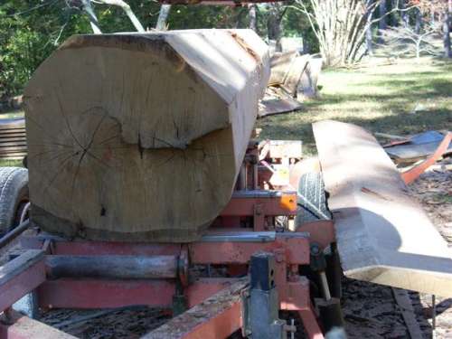 DSCN0494 (Small)
White Oak Log
