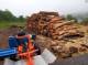 20220809_083250-firewood-logs-blocking-before.jpg