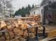 20220928_095314-firewood-kiln-dried-after-hurricane-fiona.jpg